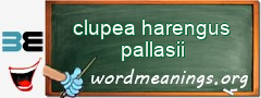 WordMeaning blackboard for clupea harengus pallasii